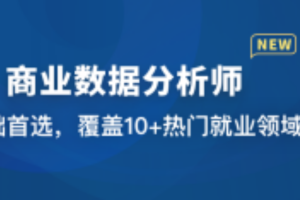 商业数据分析师（已完结）