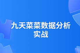 【九天菜菜】数据分析实战