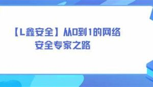 【老鑫安全】从0到1的网络安全专家之路 二进制安全和Web安全