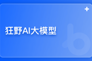 博学谷狂野AI大模型第四期