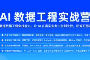 AI数据工程实战营（完结）