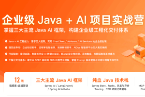 企业级Java+AI项目实战营（完结）
