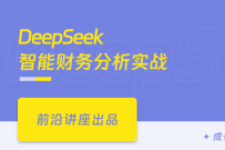 DeepSeek智能财务分析实战(完结无密)